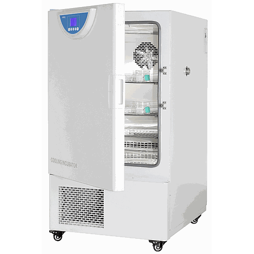Cooling Incubator