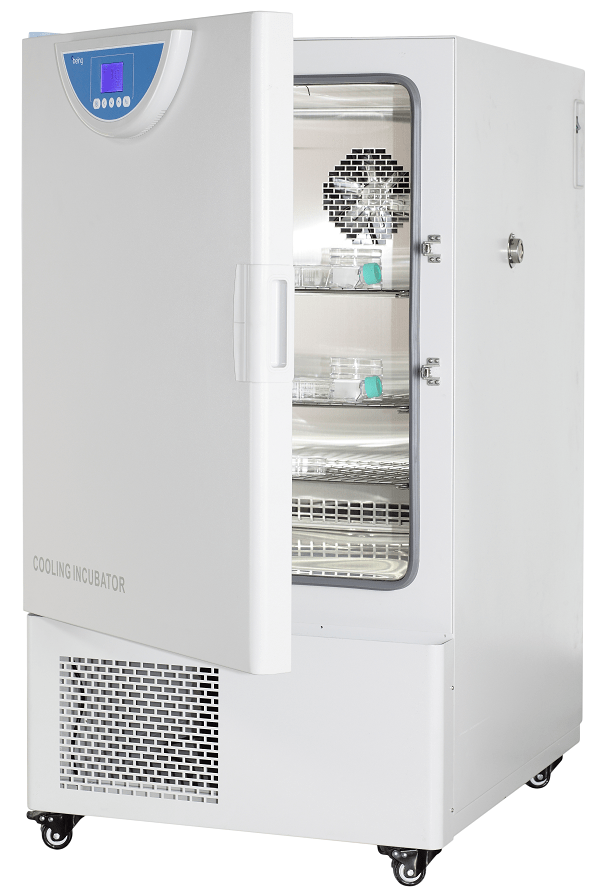 Cooling Incubator